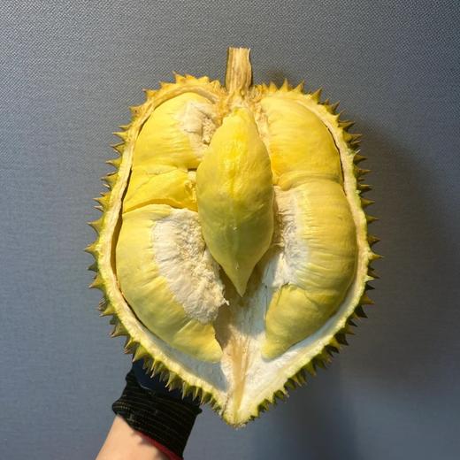 泰国首批金枕头榴莲a果顺丰包邮保四房【下单务必看售后须知！】 商品图0