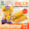 内蒙古米知客黄糯玉米1.8kg 商品缩略图0