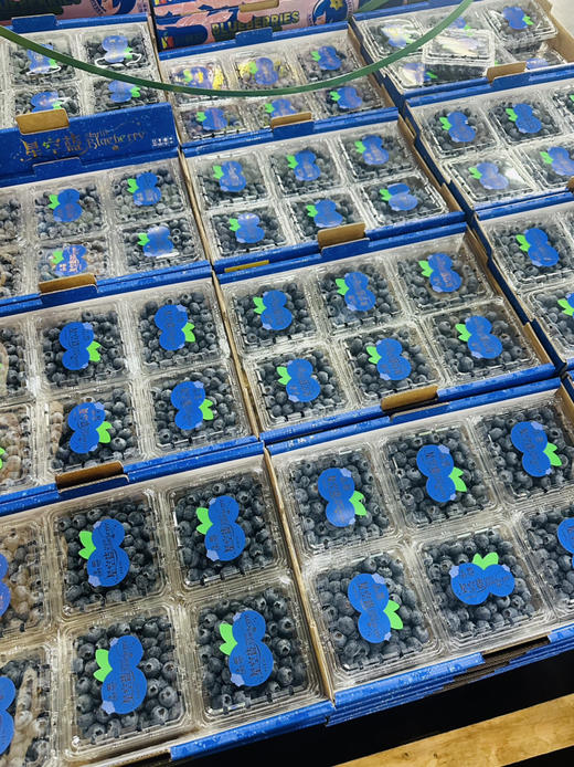 脆甜好吃的蓝莓 商品图7