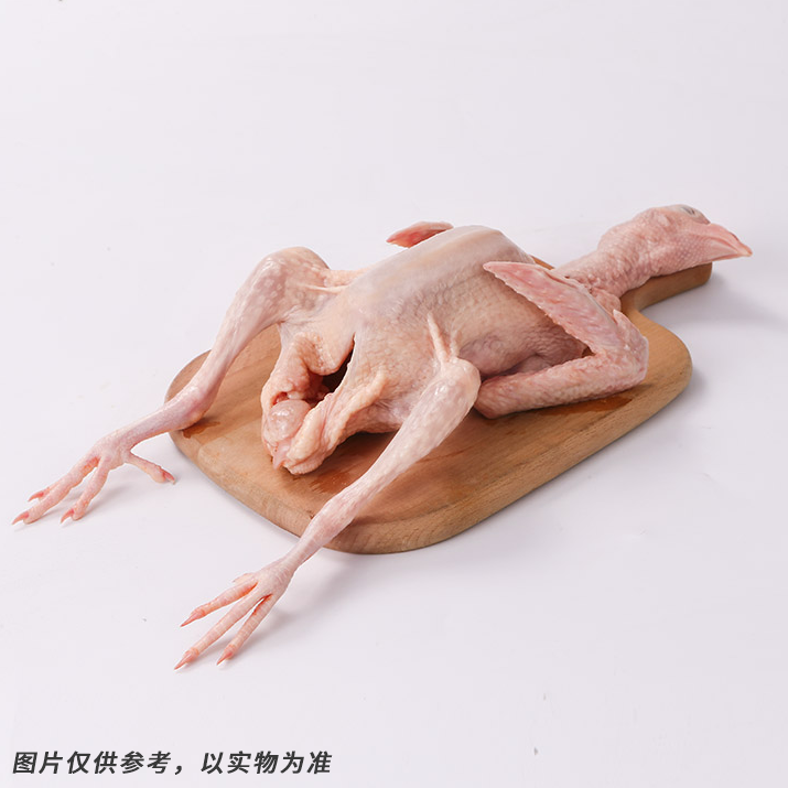 【1只装】自提-5~6两/只（不含内脏）天翔达 新鲜现杀-农家散养活力乳鸽 真空冷链锁鲜发货   JHA031-1