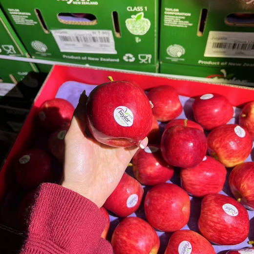预售：石家庄优选仓库速达，新西兰加力果，脆甜多汁小苹果，皮薄肉厚，酥脆无渣，爽脆可口，10枚散装 商品图7