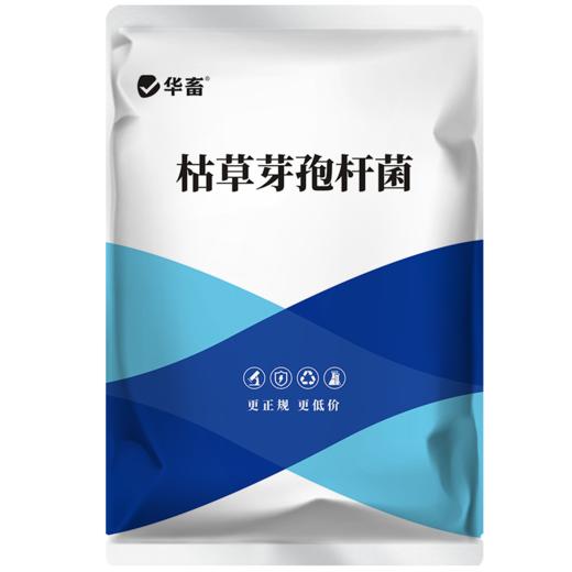 华畜枯草芽孢杆菌菌种水产养殖专用菌原种菌粉虾蟹塘活菌em益生菌 商品图6