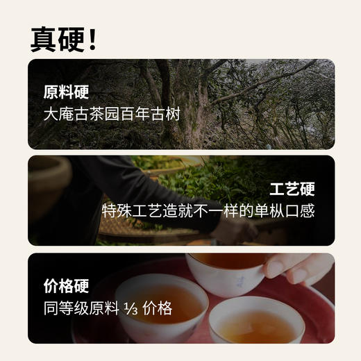 【玩料家】硬14g 商品图2