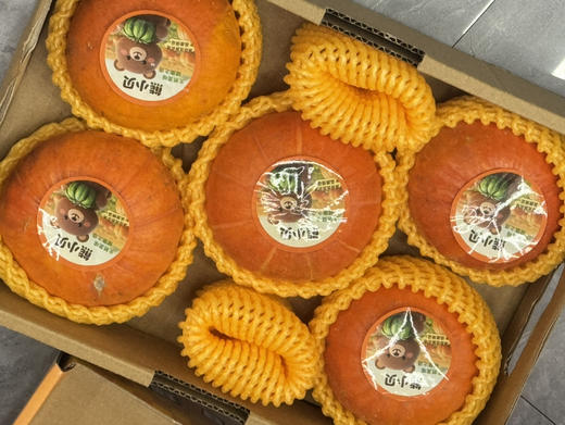 贝贝金南瓜 商品图1