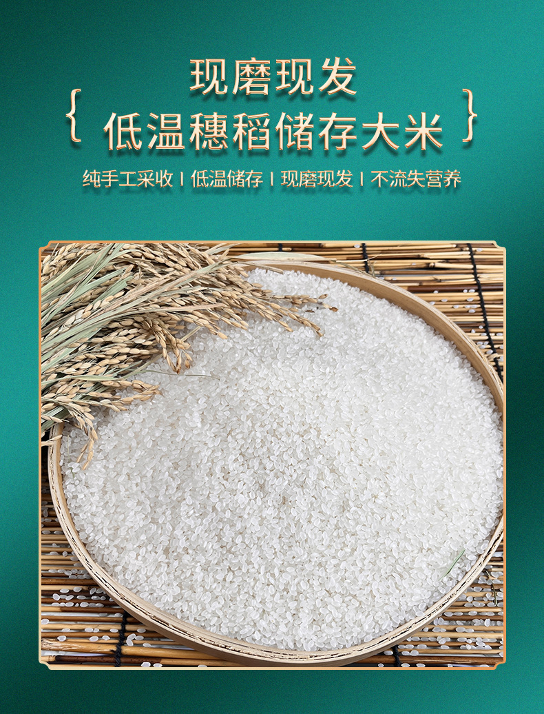 gWyWj/+nzNTvS8WG2Vtagz66b7x5oG0REi8O