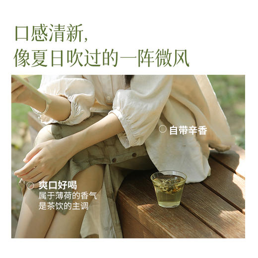 【节气爆款】清爽茶 甘草绿茶搭配组合花草茶 轻舒茶盒装 商品图1