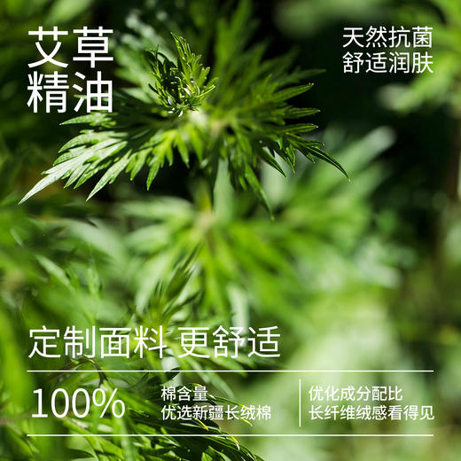 【8双含一双随机赠品】纯棉袜子四季舒适男女中筒袜 商品图3