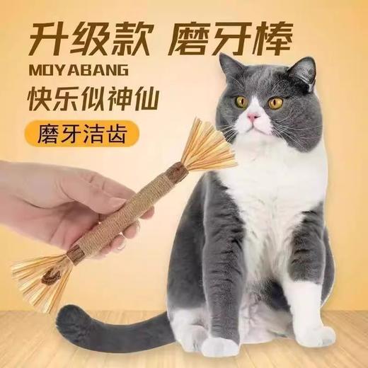 【磨牙洁齿功能强、玩具大礼包超值】猫咪玩具磨牙洁齿自嗨解闷逗猫棒申请布偶德文猫消耗体力用品大全.TA 商品图3