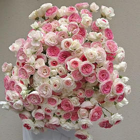 国产多头玫-【多头午夜魔法】