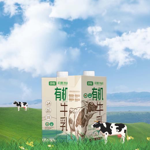 有机鲜牛乳1KG*2瓶|沙漠有机，技术锁鲜 商品图0