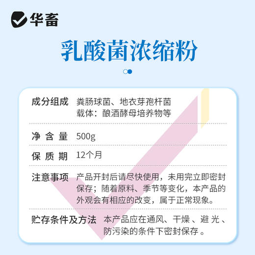华畜乳酸菌浓缩粉发酵水产养殖专用复合芽孢杆菌有益生菌原种液药 商品图5