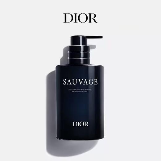 迪奥 克丽丝汀迪奥旷野男士净润洗发露 250ml  E000001029-F 商品图0