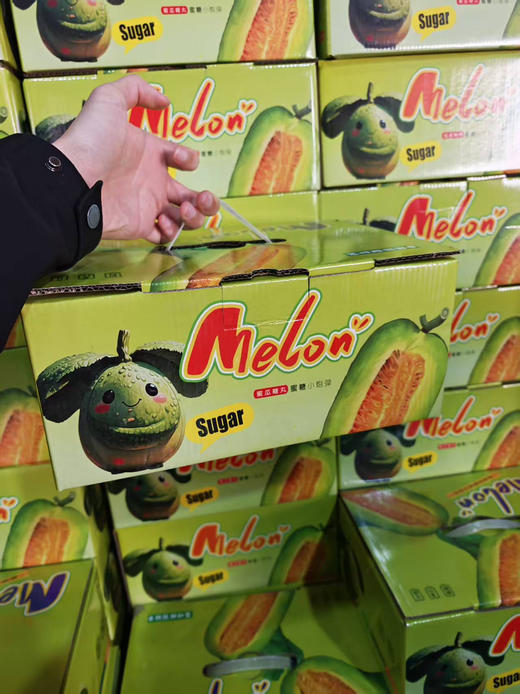 绿美人甜瓜中的劳斯莱斯3斤装 商品图2