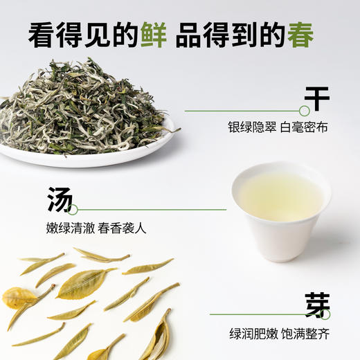 【魔造】2026高山滇绿150g 商品图2