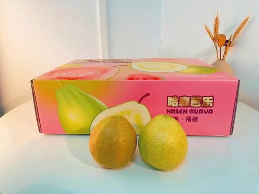 B1F【自采水果】哈森红芭乐  规格：4-7个/盒 （取货日期：4月16日） 商品图2