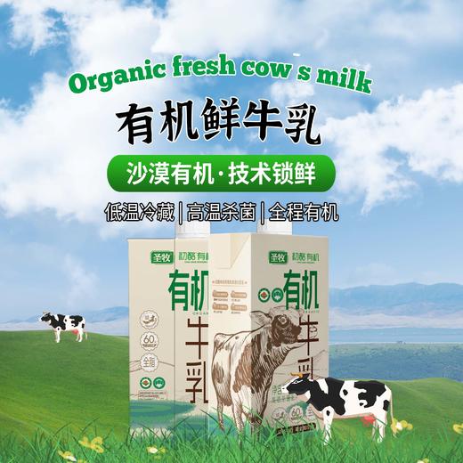 有机鲜牛乳1KG*2瓶|沙漠有机，技术锁鲜 商品图1
