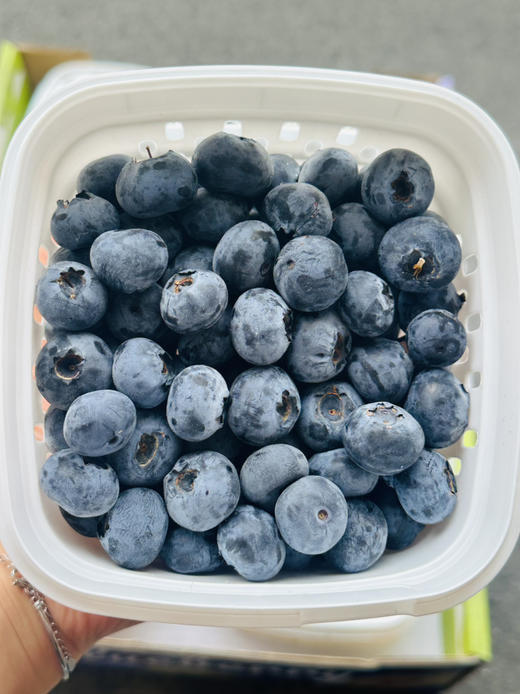 脆甜花香蓝莓 商品图3