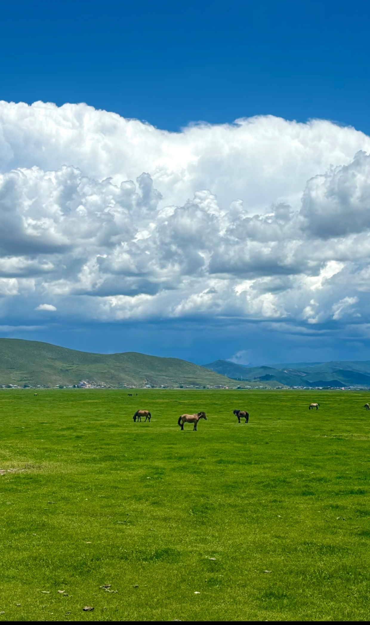 大理-丽江-香格里拉10天9晚定制