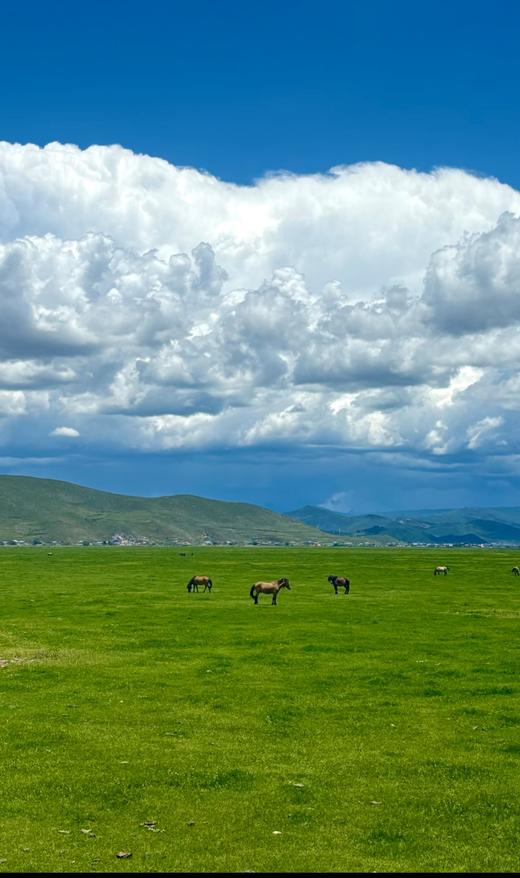 大理-丽江-香格里拉10天9晚定制 商品图0