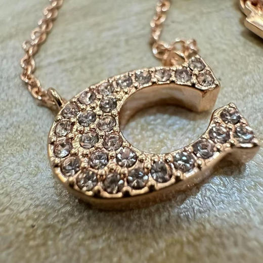 贸易公司渠道原单2026蔻驰/Coach官网最新款项链
三个颜色 ：玫瑰金 金色 银 商品图9