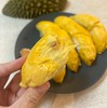 【限时尝鲜】泰国猫山王托曼尼榴莲顺丰包邮【收到之后建议放置一两天，会更软糯绵密！】 商品缩略图8