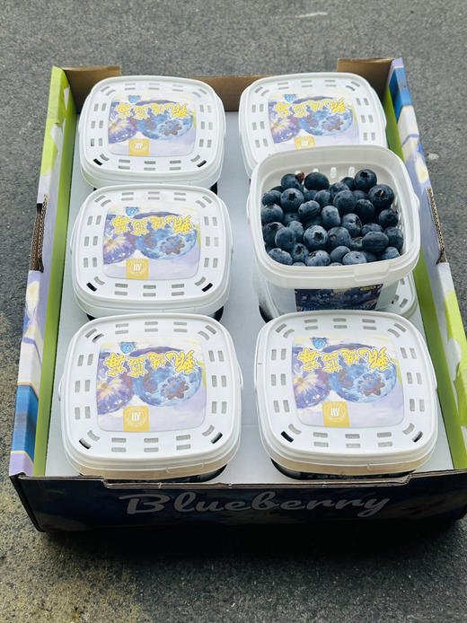 脆甜花香蓝莓 商品图11
