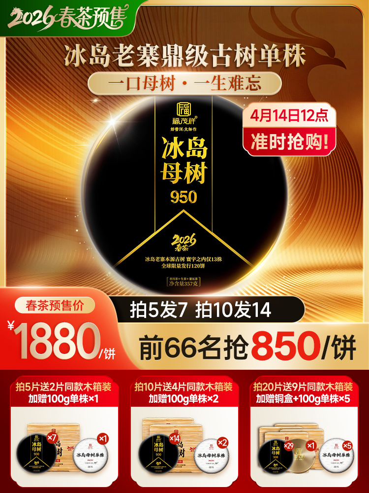 【冰岛母树】【茶后系列】重磅来袭 精选13棵冰岛老寨始祖级古树 2026年冰岛母树纯料普洱茶357g饼茶