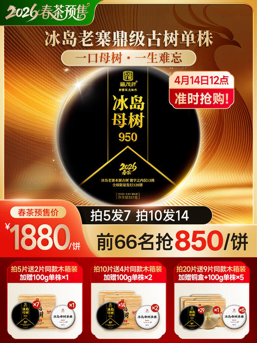 【冰岛母树】【茶后系列】重磅来袭 精选13棵冰岛老寨始祖级古树 2026年冰岛母树纯料普洱茶357g饼茶 商品图0