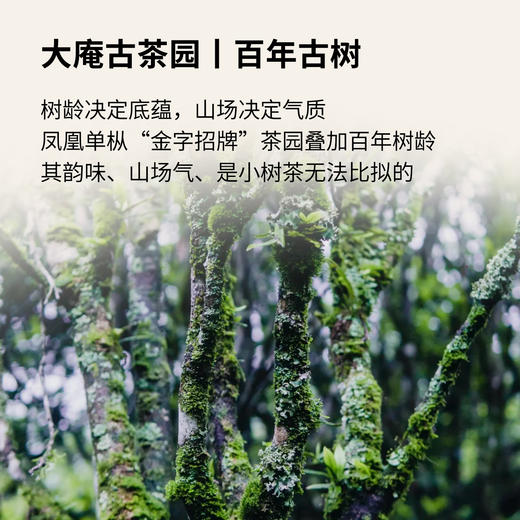 【玩料家】硬14g 商品图4