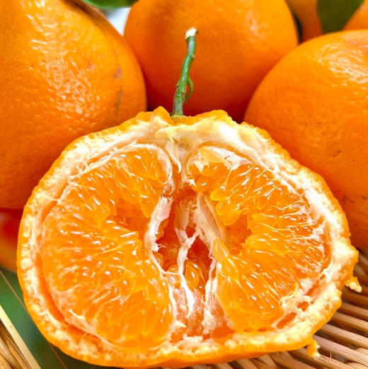 石家庄优选仓库速达，探蜜熊®大雅柑，果肉脆嫩饱满，颗粒分明，橘味浓郁，满口爆汁，净重6.5斤礼盒装 商品图1