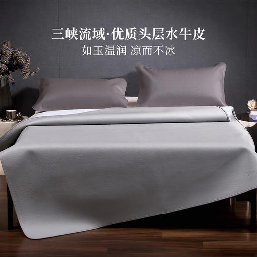 多喜爱 牛皮席-禅韵 【A类品质】【植物鞣制】【头层牛皮】如玉温润·凉而不冰 平滑如镜 牛皮包边 商品图1