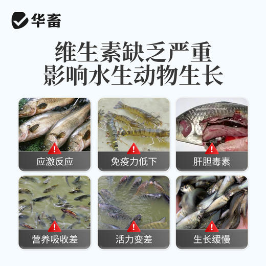 华畜黄金水产多维水产养殖鱼虾蟹蛙用生长缓慢诱食促长电解多维 商品图1