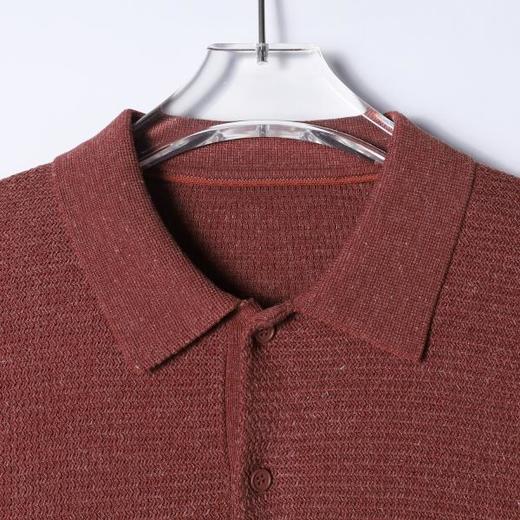 SDSA男装2026新款高贵轻奢复古肌理感针织翻领短袖T恤百搭休闲 商品图1