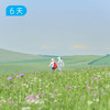 夏季呼伦贝尔徒步节｜草原封神路线 50公里轻徒步 亲子/成人双版本 6日 商品缩略图1