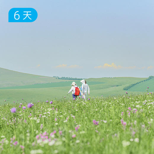 夏季呼伦贝尔徒步节｜草原封神路线 50公里轻徒步 亲子/成人双版本 6日 商品图1