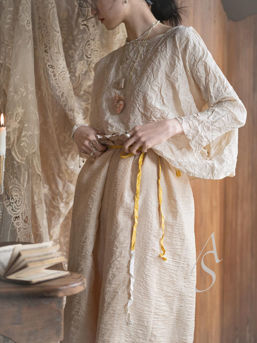 Daniela Gregis 26SS 香槟金真丝塔夫绸廓形上衣 商品图3