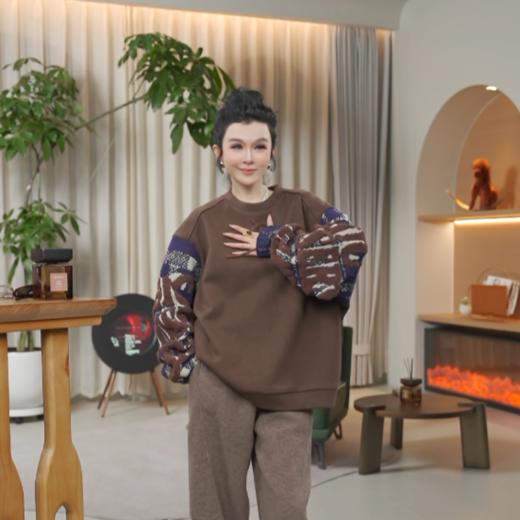 04-4潘依绣丁丁宠粉羊毛小众复古撞色拼接立体提花慵懒风磨绒卫衣WH00520 商品图0