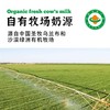有机鲜牛乳1KG*2瓶|沙漠有机，技术锁鲜 商品缩略图2