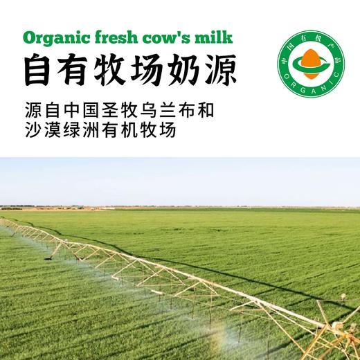 有机鲜牛乳1KG*2瓶|沙漠有机，技术锁鲜 商品图2