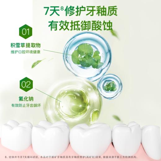舒客 茶真萃白桃乌龙清新牙膏 175g/盒 商品图2
