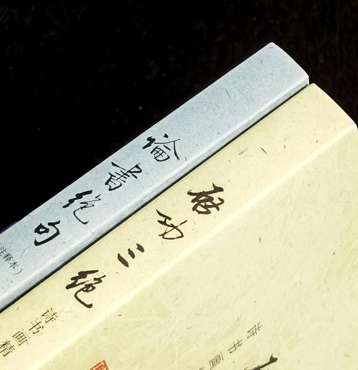 【特惠】《启功三绝：诗书画精选与赏析》+《论书绝句》，小16开，平装，启功著，赵仁珪注，三联书店2022年一版一印，定价99、69，两册合售：57元。 商品图0