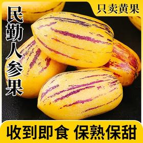 【宜昌助农馆】民勤人参果  沙漠低糖水果 4.5斤