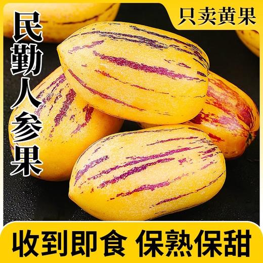 【宜昌助农馆】民勤人参果  沙漠低糖水果 4.5斤 商品图0