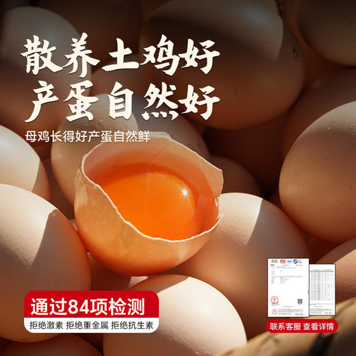 【杨博士】土鸡蛋不土包赔正宗深山散养土鸡蛋新鲜草鸡蛋 40g-50g/枚 商品图3