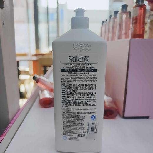 蔬果园海盐生姜餐具净800g 商品图1