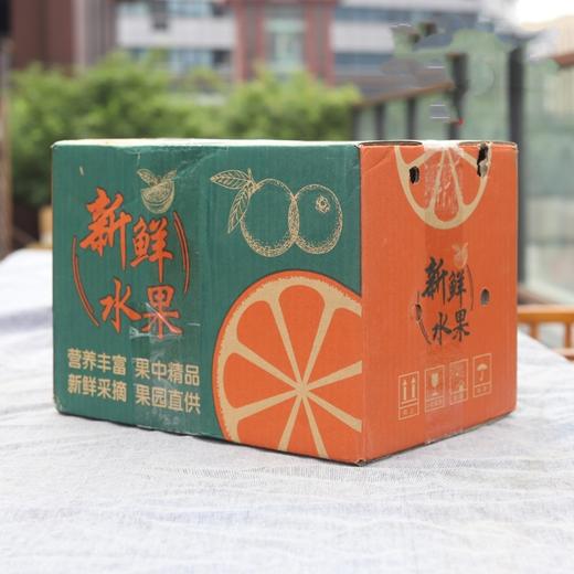 生态不知火丑柑 商品图4