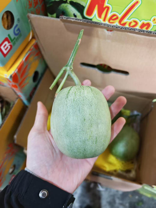 绿美人甜瓜中的劳斯莱斯3斤装 商品图1