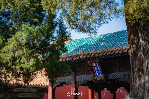 【五一寻味北京 · 环球版】5天4晚，带娃读故宫、进清/北，畅游环球影城！立减1300元！名额有限，报完即止～ 商品图11