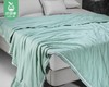 【预售-4月17日配送】佳丽斯沁爽蚕丝夏被（清风蓝）/1件（150*230cm总重约1.3kg）补单专用 商品缩略图0