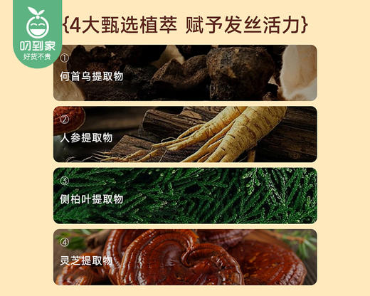 【预售-4月17日配送】自然而然原浆育发固发保健液（洗发液）/1瓶（520ml）限用日期 28年11月 商品图2